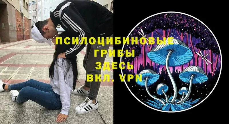 Псилоцибиновые грибы MAGIC MUSHROOMS  где можно купить   Тетюши 